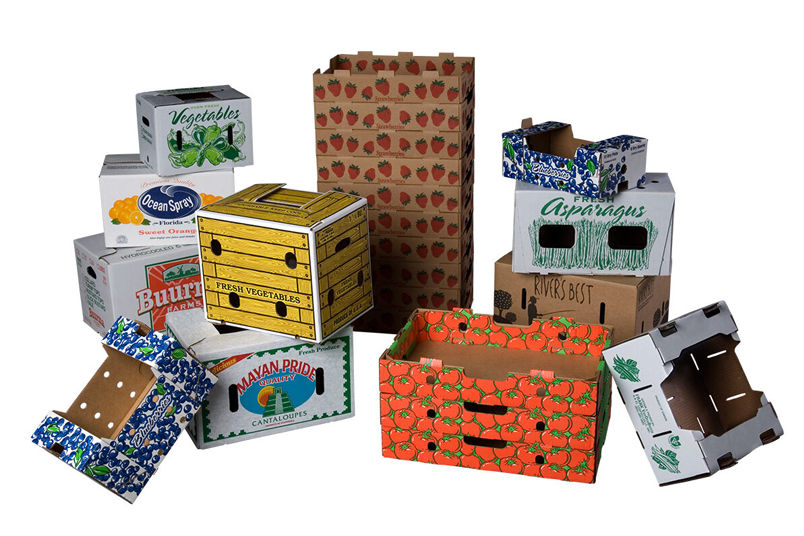 Corrugated Carton Packaging for Food and Beverage.jpg