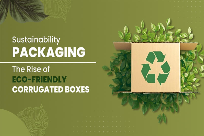 Eco-Friendly Corrugated Cartons for Sustainable Packaging