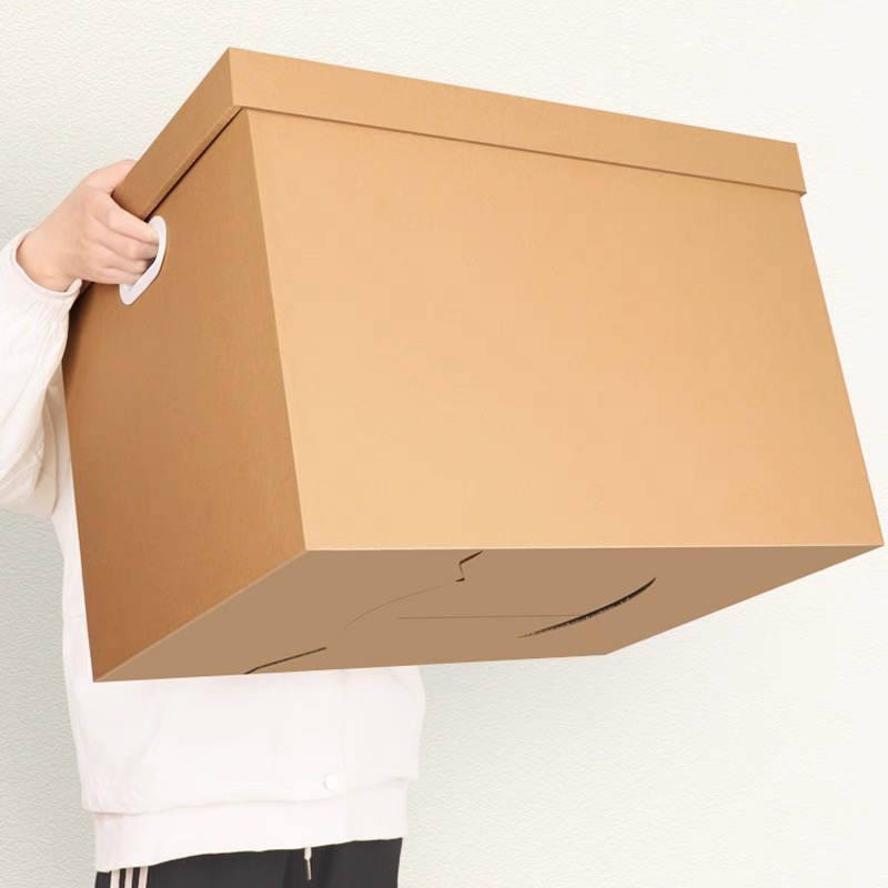 Cloth/Shoes/Gift Storage with Reinforced Handles Cartons in Corruagated Structure Free Design Move House Large Capacity Moving Carton Boxes