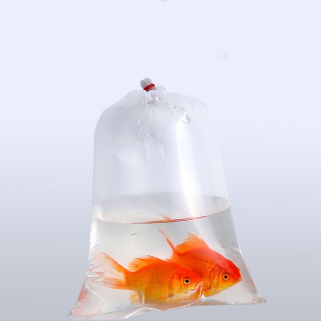Customized Wholesale Polly Bags Plastic Transparent Transport Living Fish Packing Bag