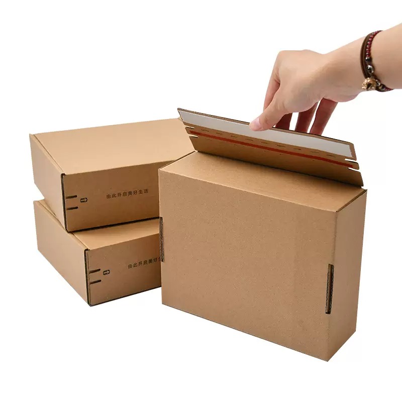 Premium Custom Print Cosmetics Shampoo Packaging Eco Friendly Kraft Paper Boxes Corrugated Cardboard Shipping Cartons Mailer Book Shipping Box